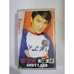 刘德华黑马王子精选集