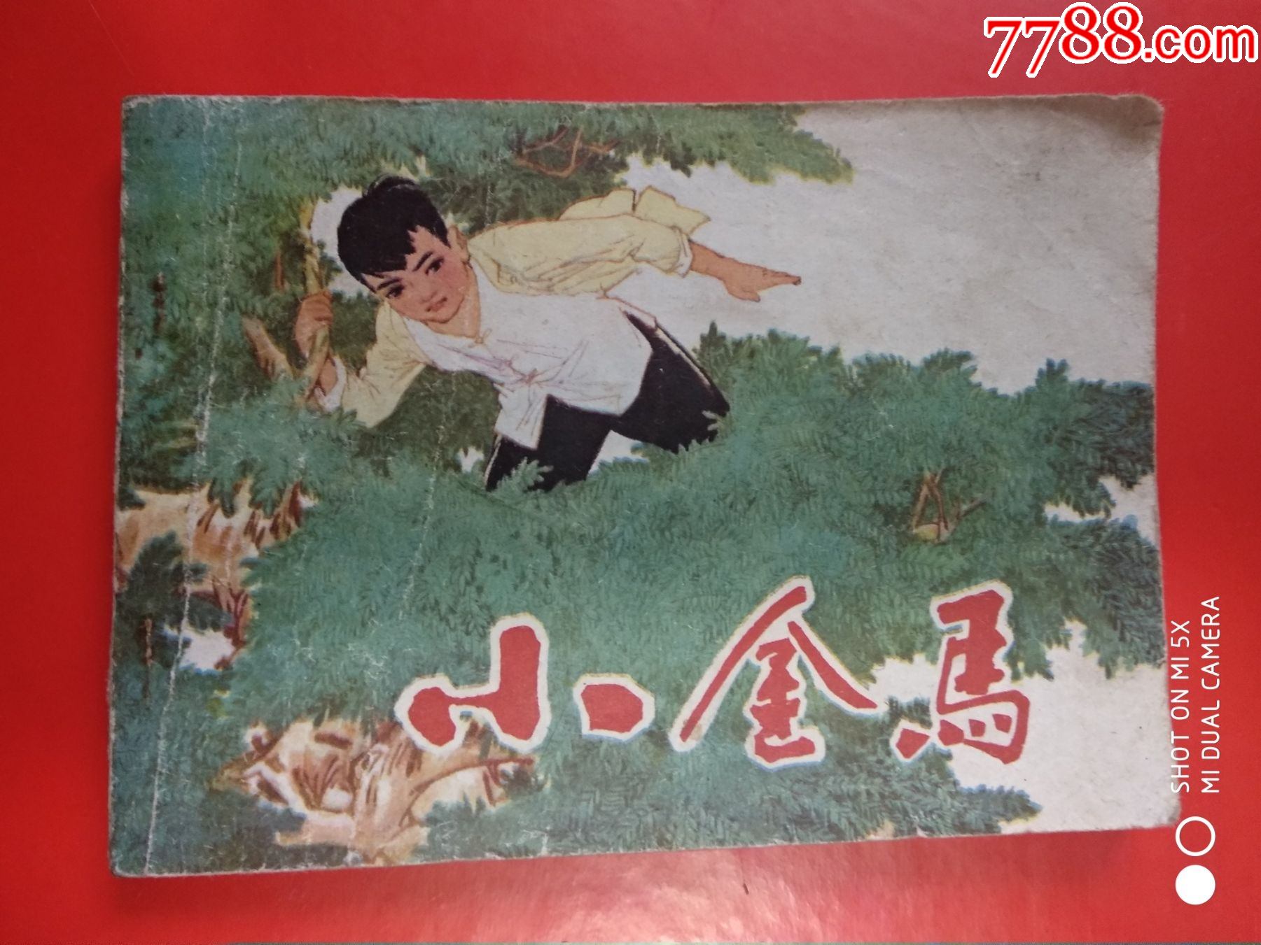 小金马