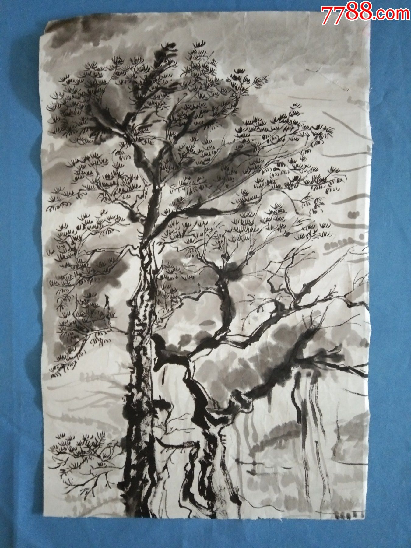 艺术院校美术系大学生毕业答辩精品水墨写意树木国画风景小画保真出售
