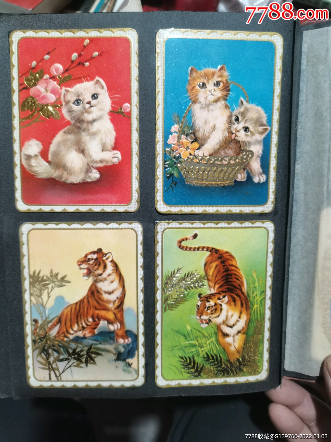 猫虎图年历卡