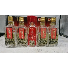 2004年50度贵州夜郎村酒一瓶