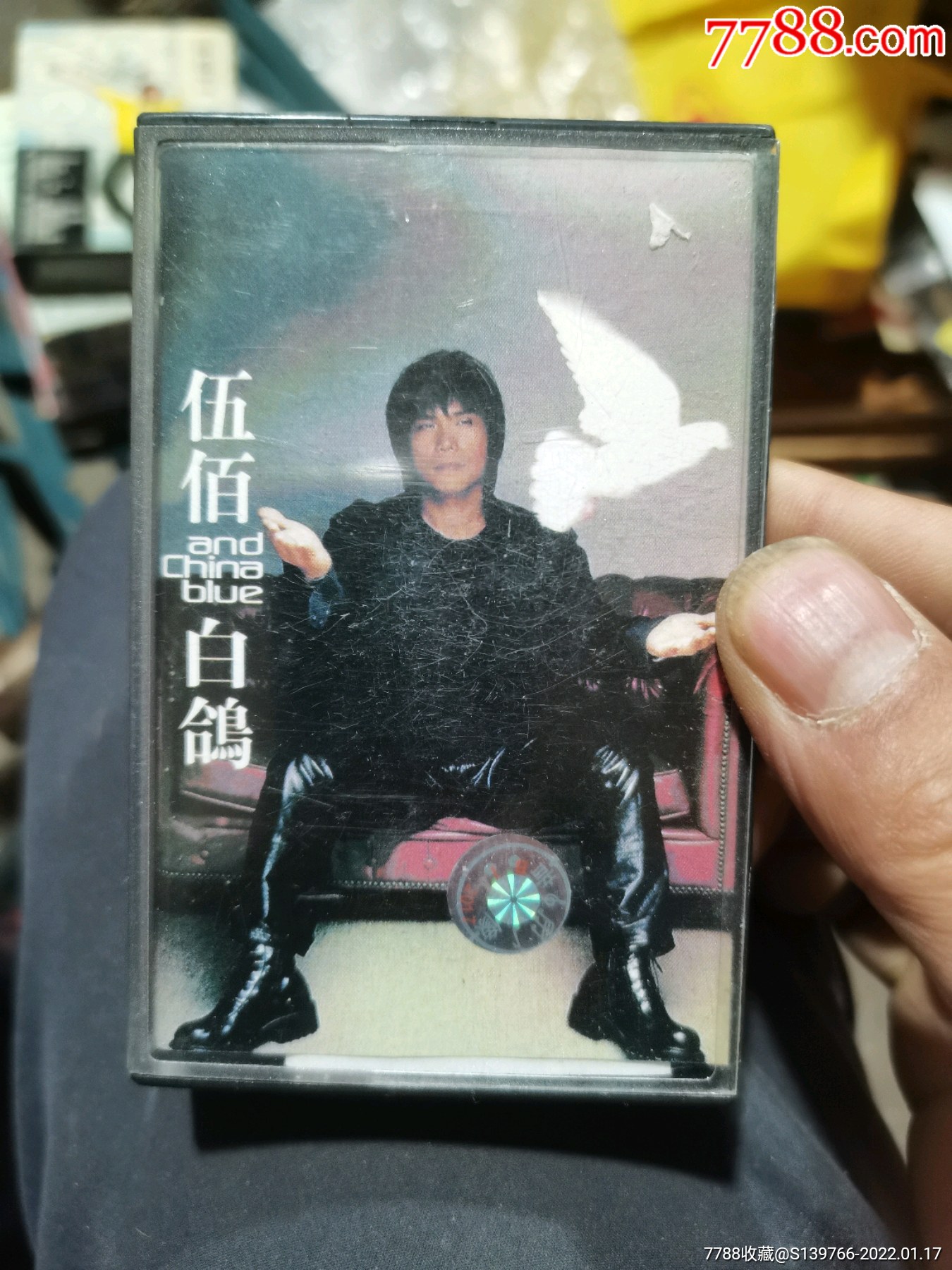 伍佰白鸽