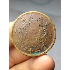 湖南当二十铜元
