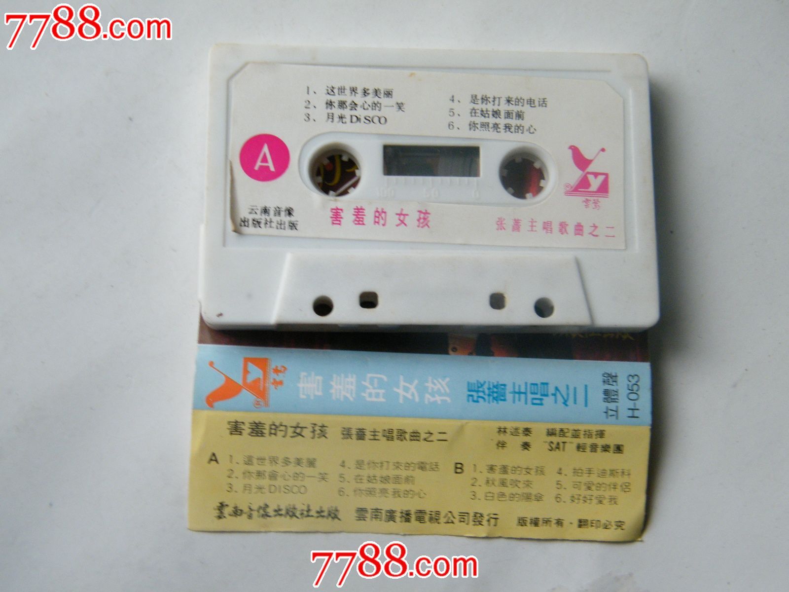 <em>张蔷</em>主唱之二,<em>害羞的女孩</em>(ZP),磁带/卡带,音乐卡