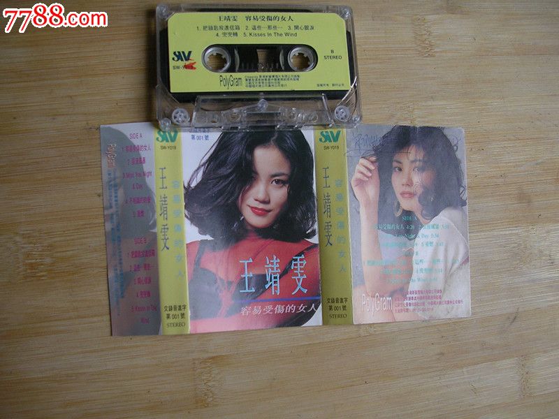 王静雯·<em>容易受伤的女人</em>,磁带/卡带,音乐卡带,标