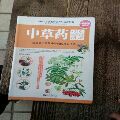商品点评:中草药识别图谱_医书/药书__医学类书籍__21世纪10年代__16