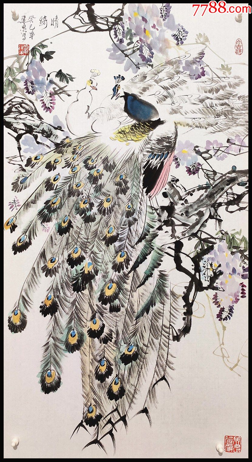 【孙建东】孔雀_花鸟国画原作_第1张_7788字画网