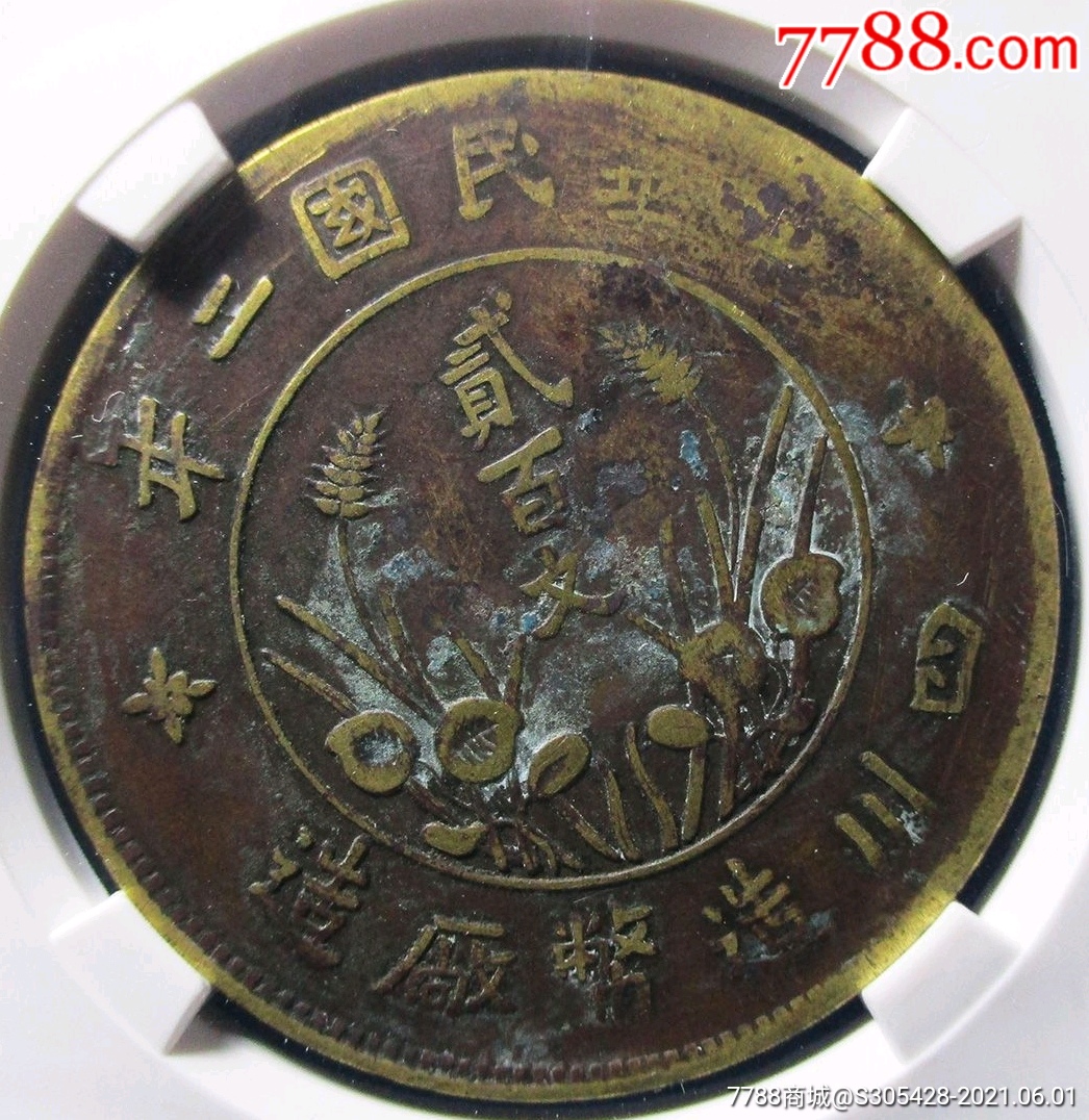 黄亮四川200文直缨双旗币