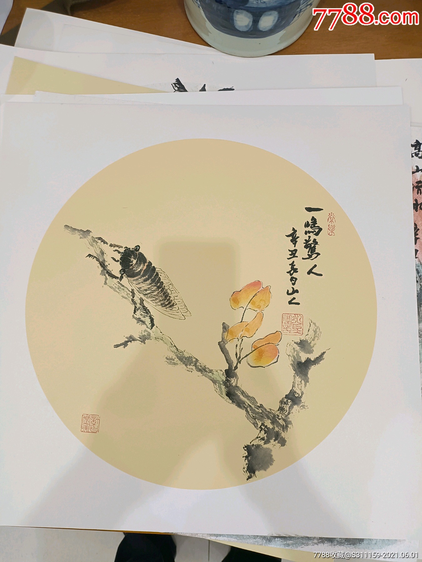 蝉(50x50)cm