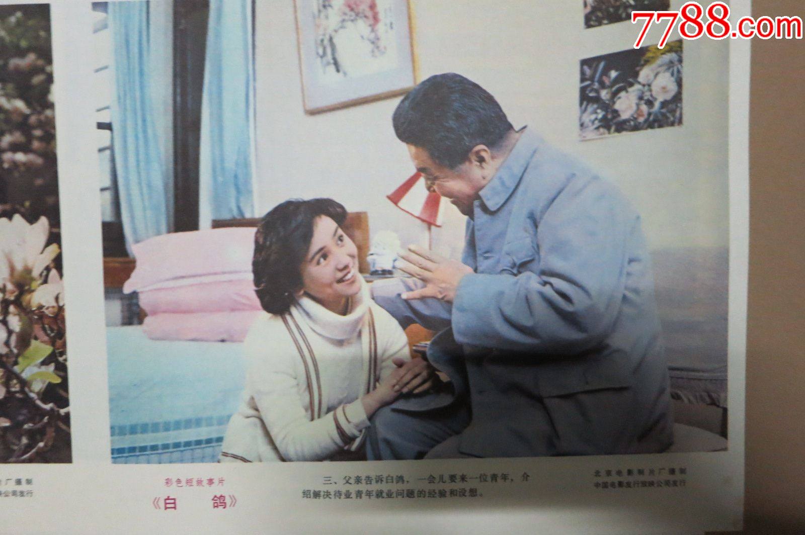北京电影制片厂彩色故事片白鸽老电影海报剧照半米以上大尺幅