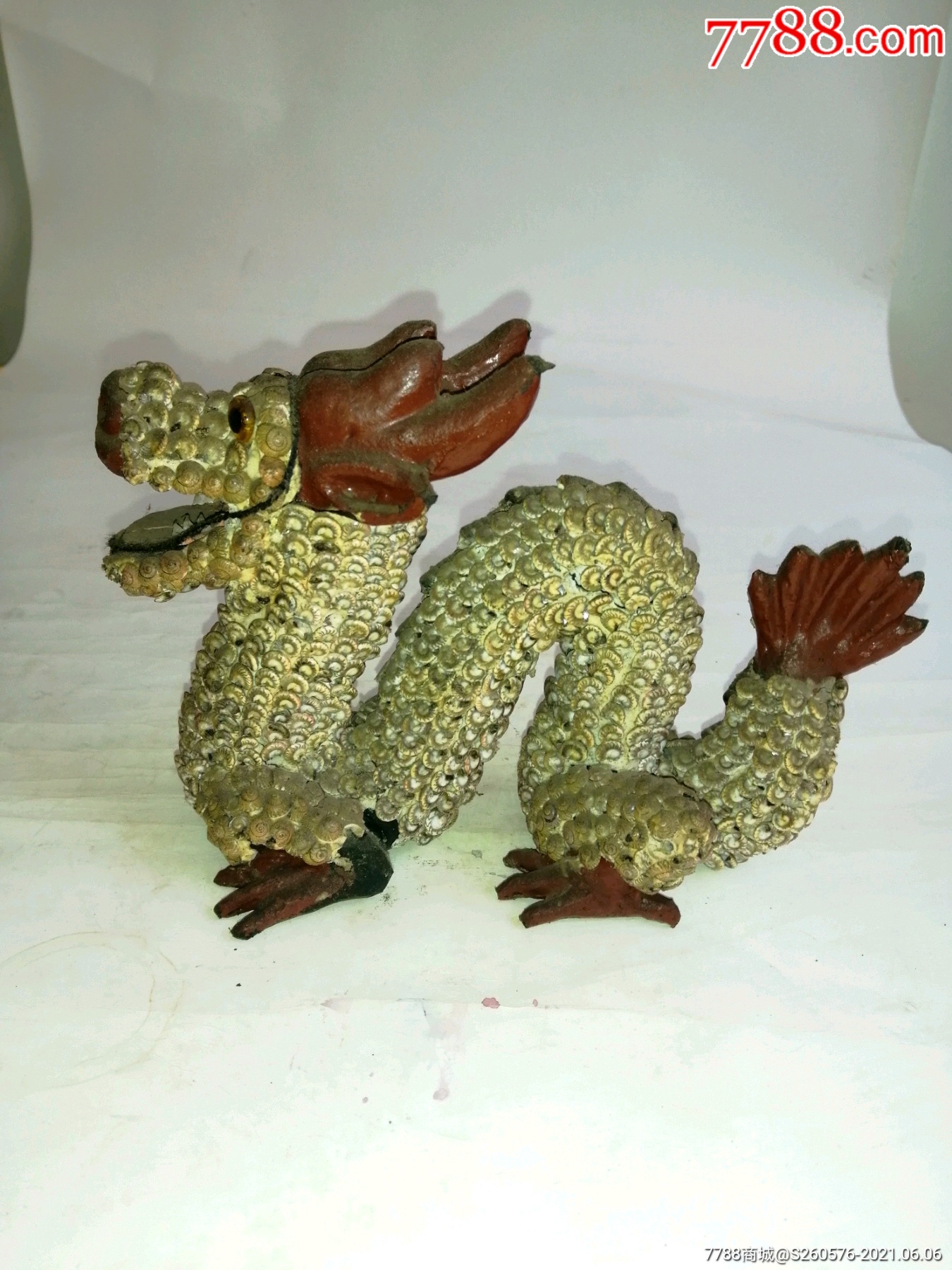 龙_贝壳摆件_华明古玩【7788收藏__收藏热线】