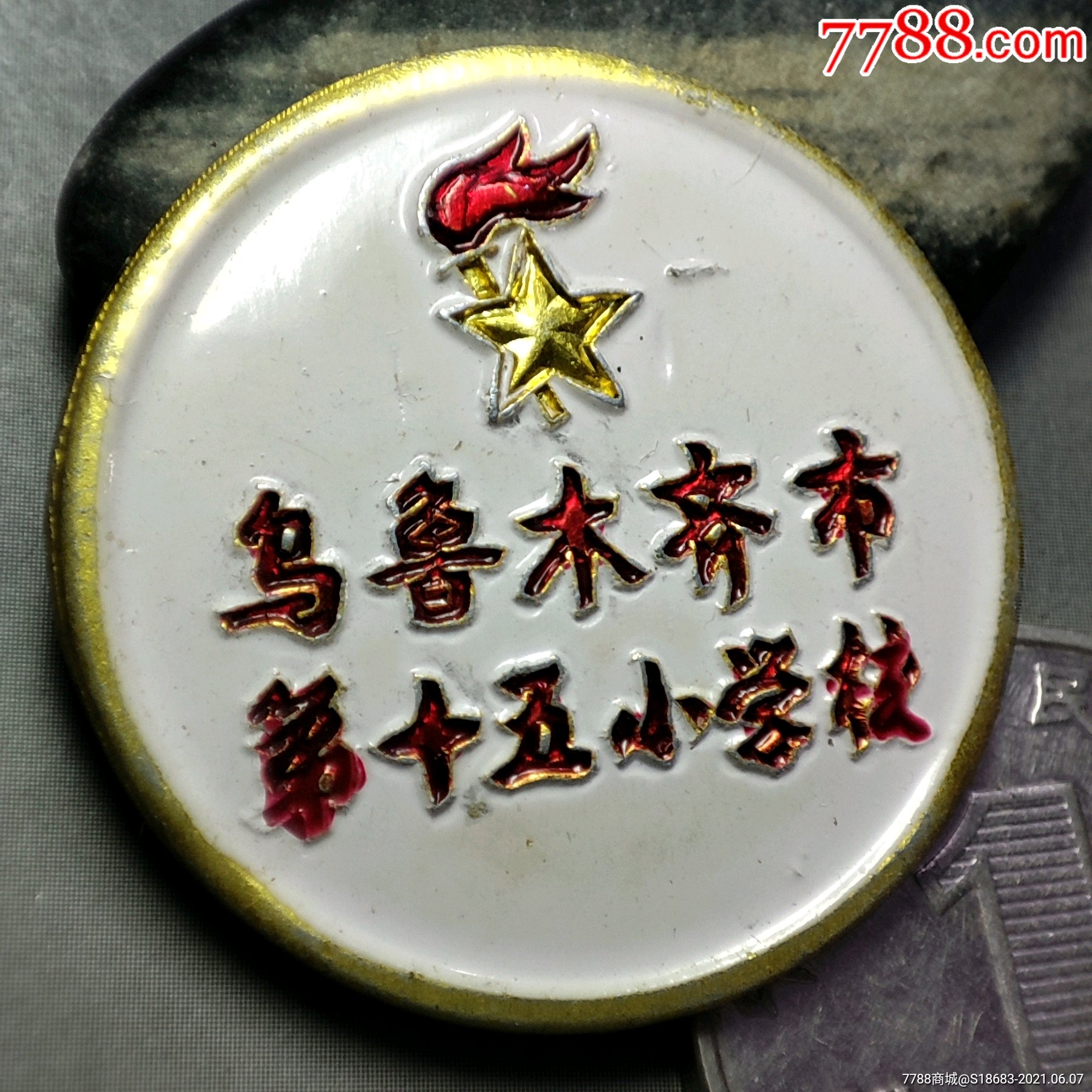 新疆乌鲁木齐市第十五小学校_校徽/毕业章【帝乡标局】_第3张_7788