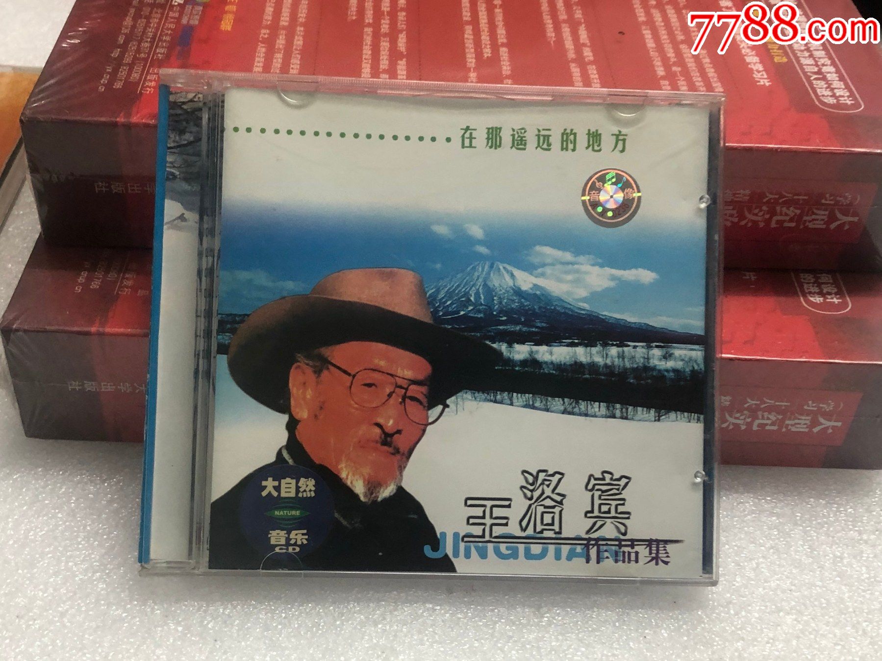 王洛宾作品集在那遥远的地方