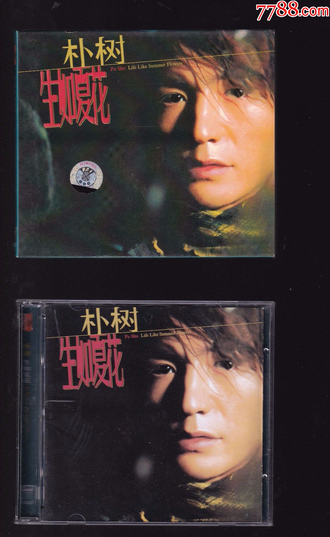 朴树生如夏花双碟