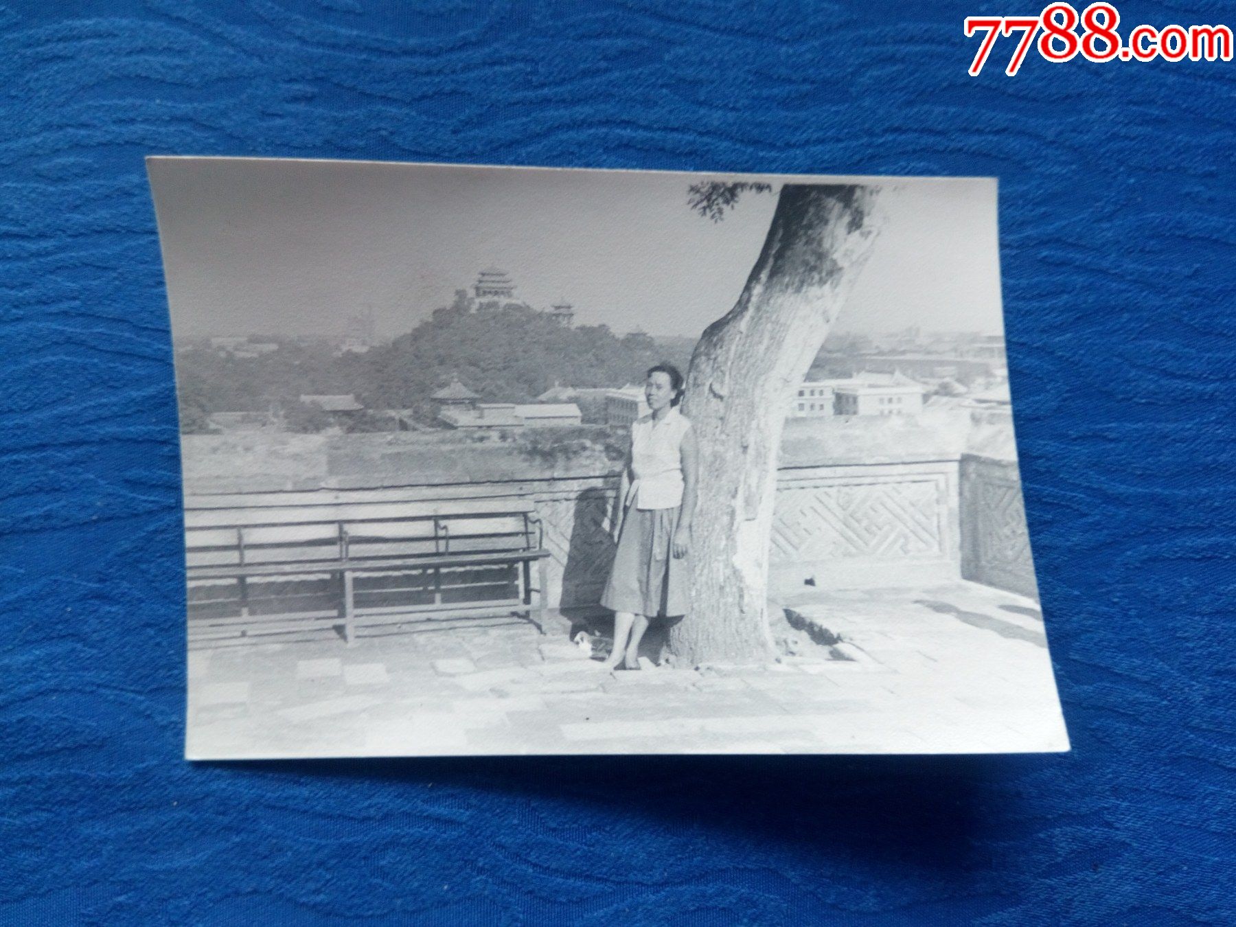 經典知識分子黑白老照片1960年北海對面景山公園懷舊收藏影像資料記錄