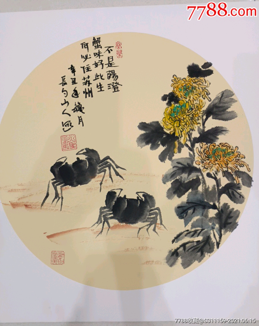 菊蟹图(55x55cn)-价格:15元-au26765072-花鸟国画原作 -加价-7788收藏