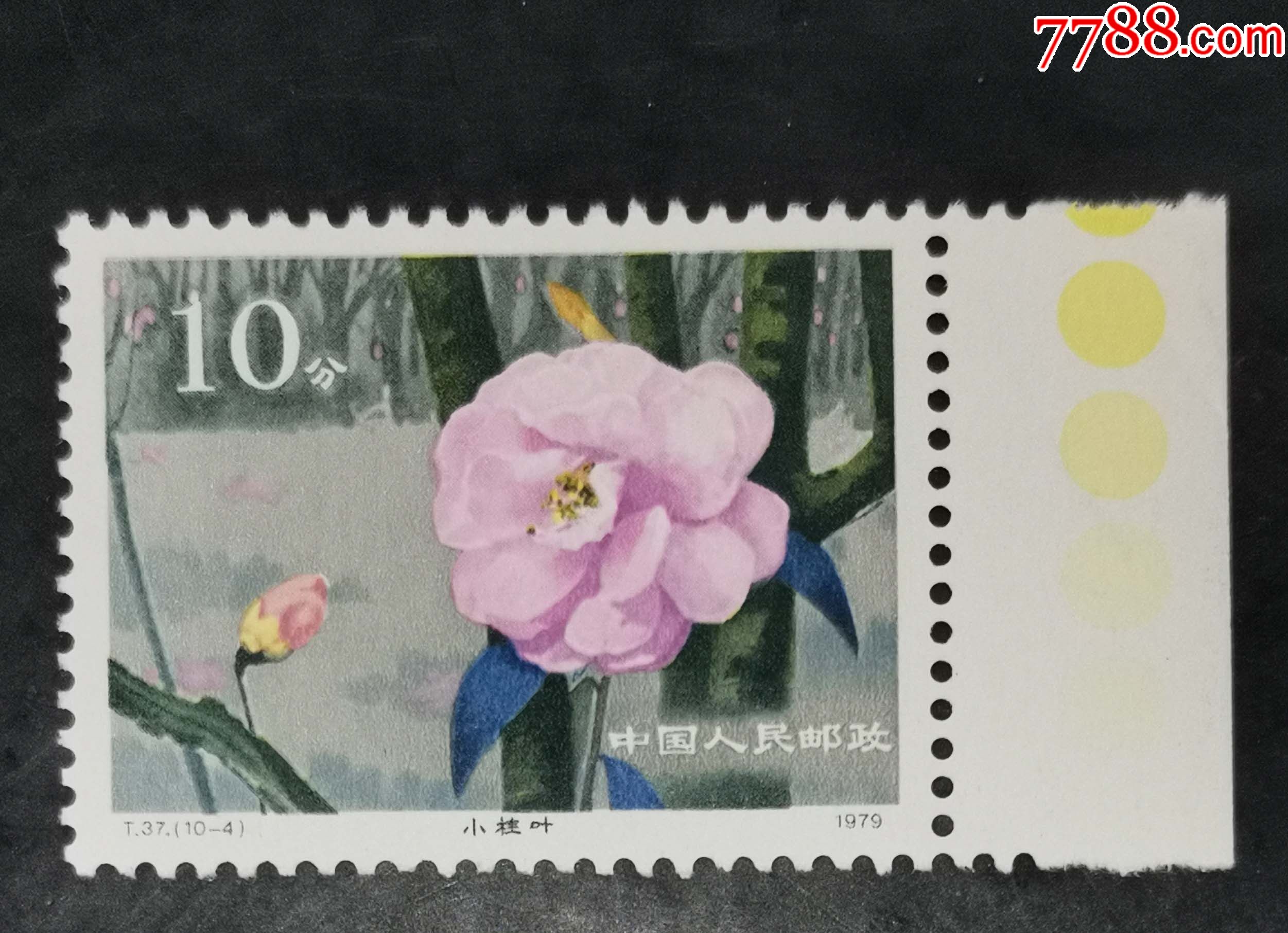 t37山茶花-4,色标_新中国邮票_龙行天下邮币卡社【7788收藏__收藏热线