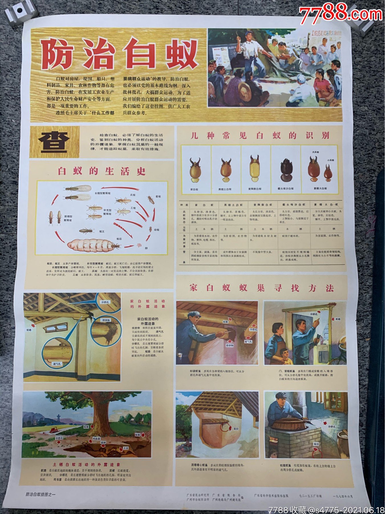 防治白蚁-价格:29元-au26792776-年画/宣传画 -加价-7788收藏__收藏
