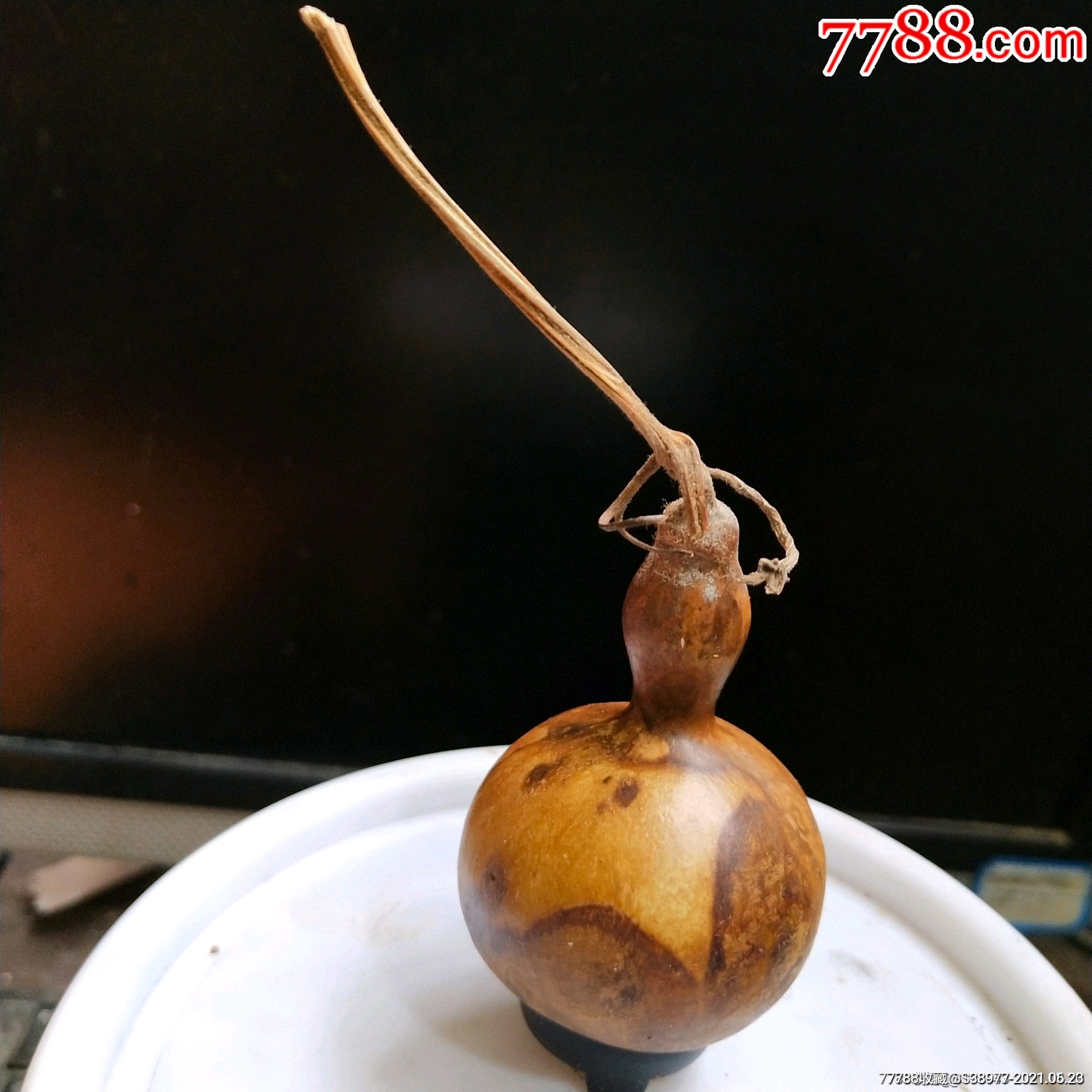 t631一个花皮葫芦合售