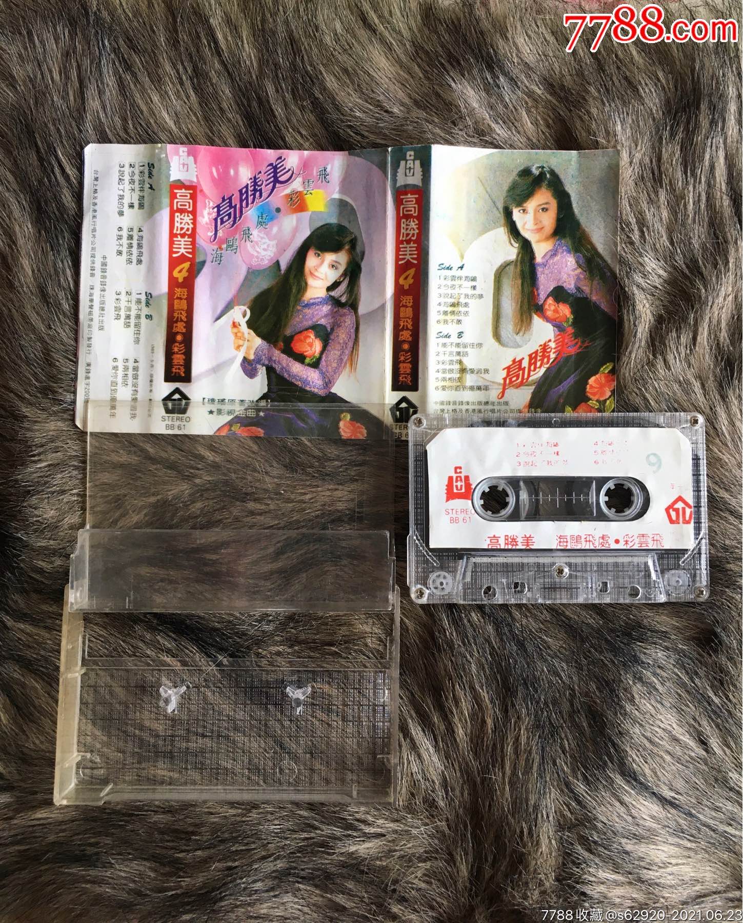 高胜美4,海鸥飞处彩云飞