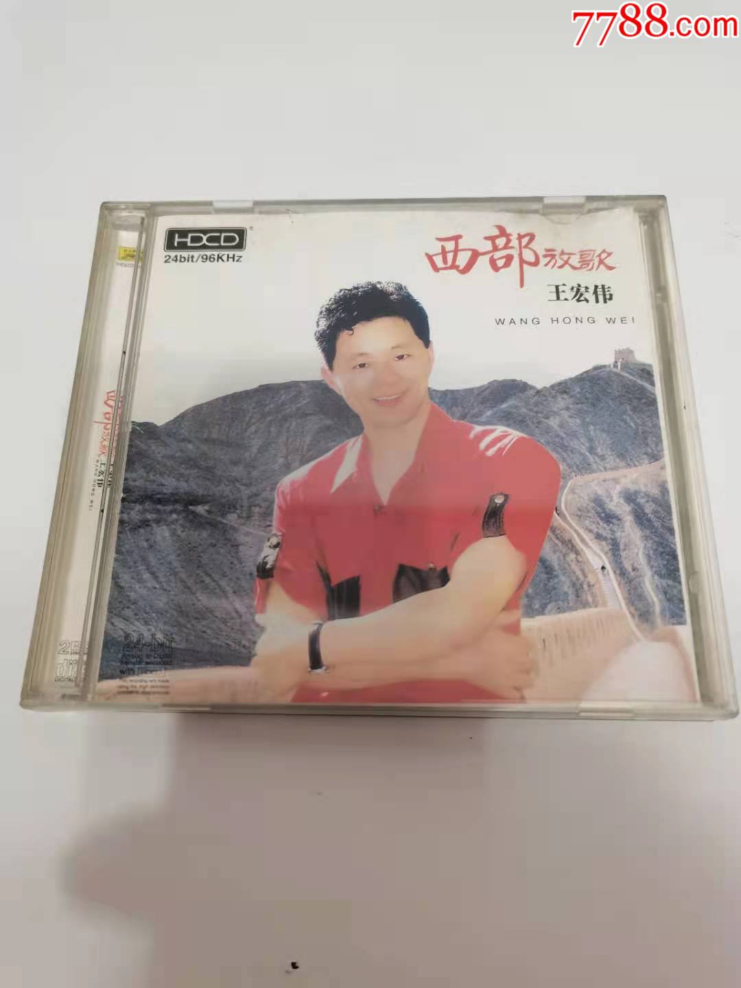 王宏伟西部放歌