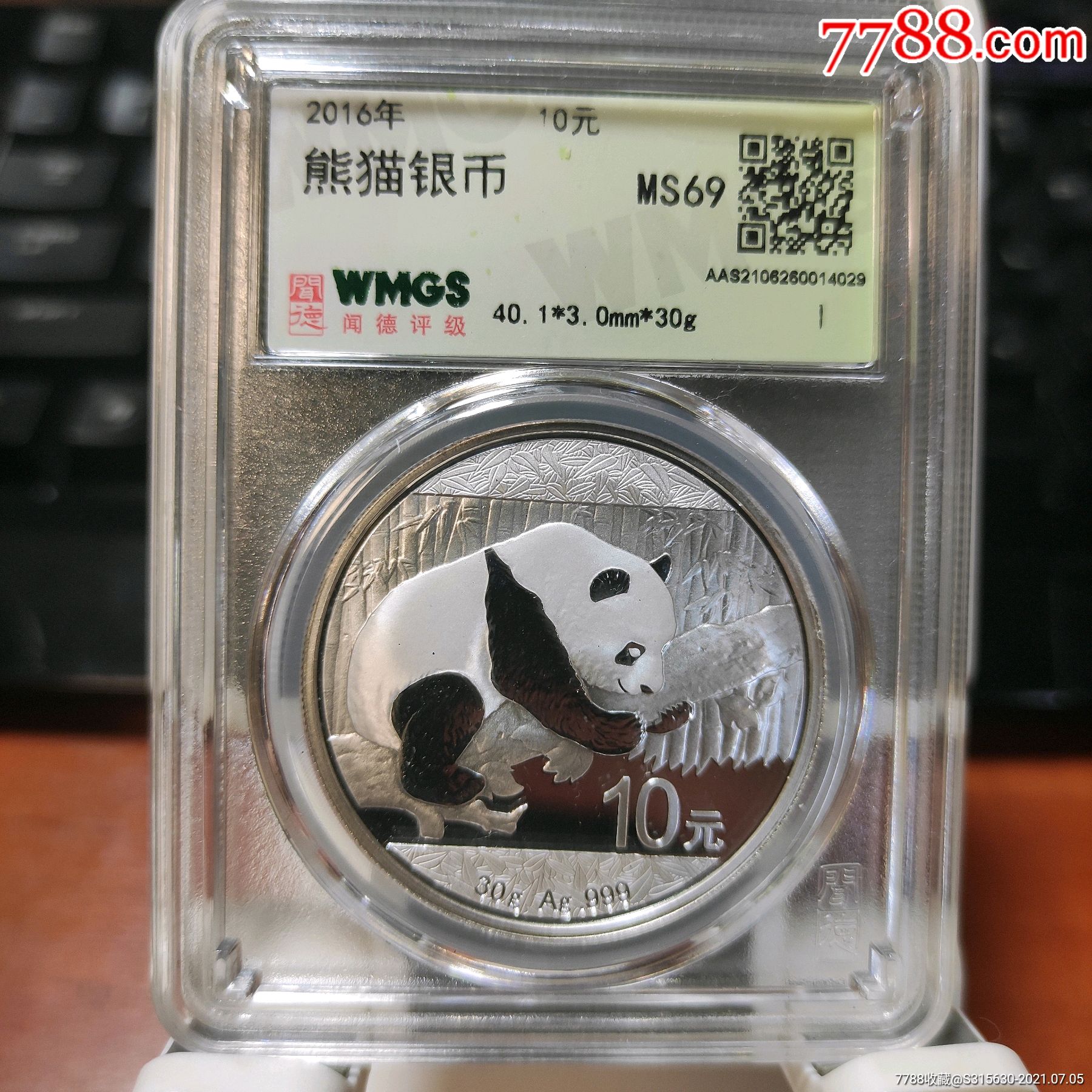 熊猫银币10元
