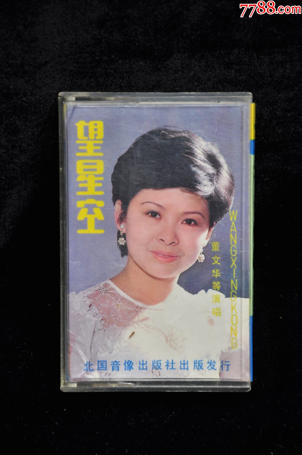 董文华望星空