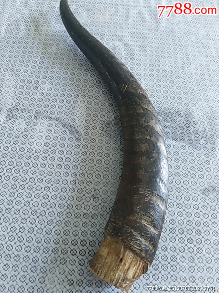 羊角刀把,古玩杂项老羊角刀子,民俗工艺老刀子把