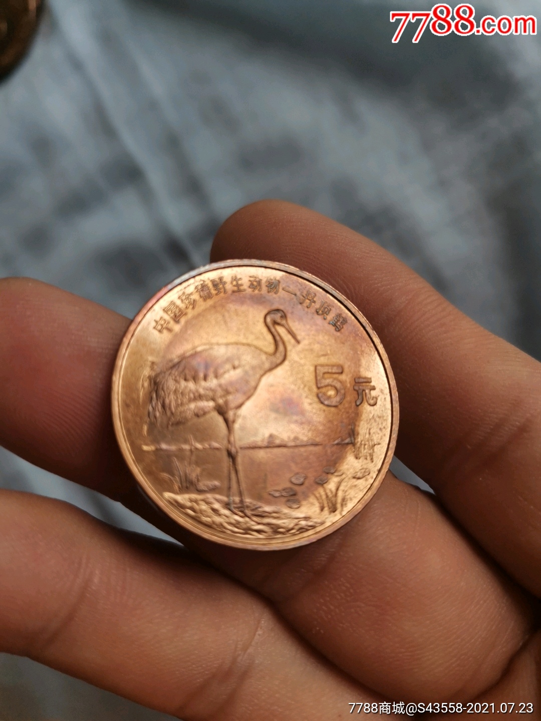 中国珍稀野生动物丹顶鹤5元1997