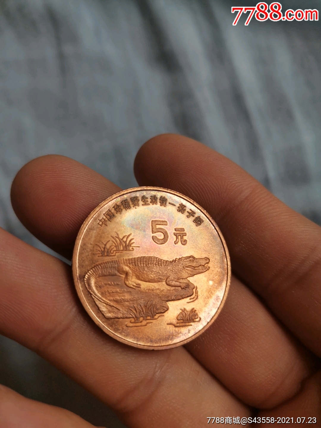 中国珍稀野生动物扬子鳄5元1998