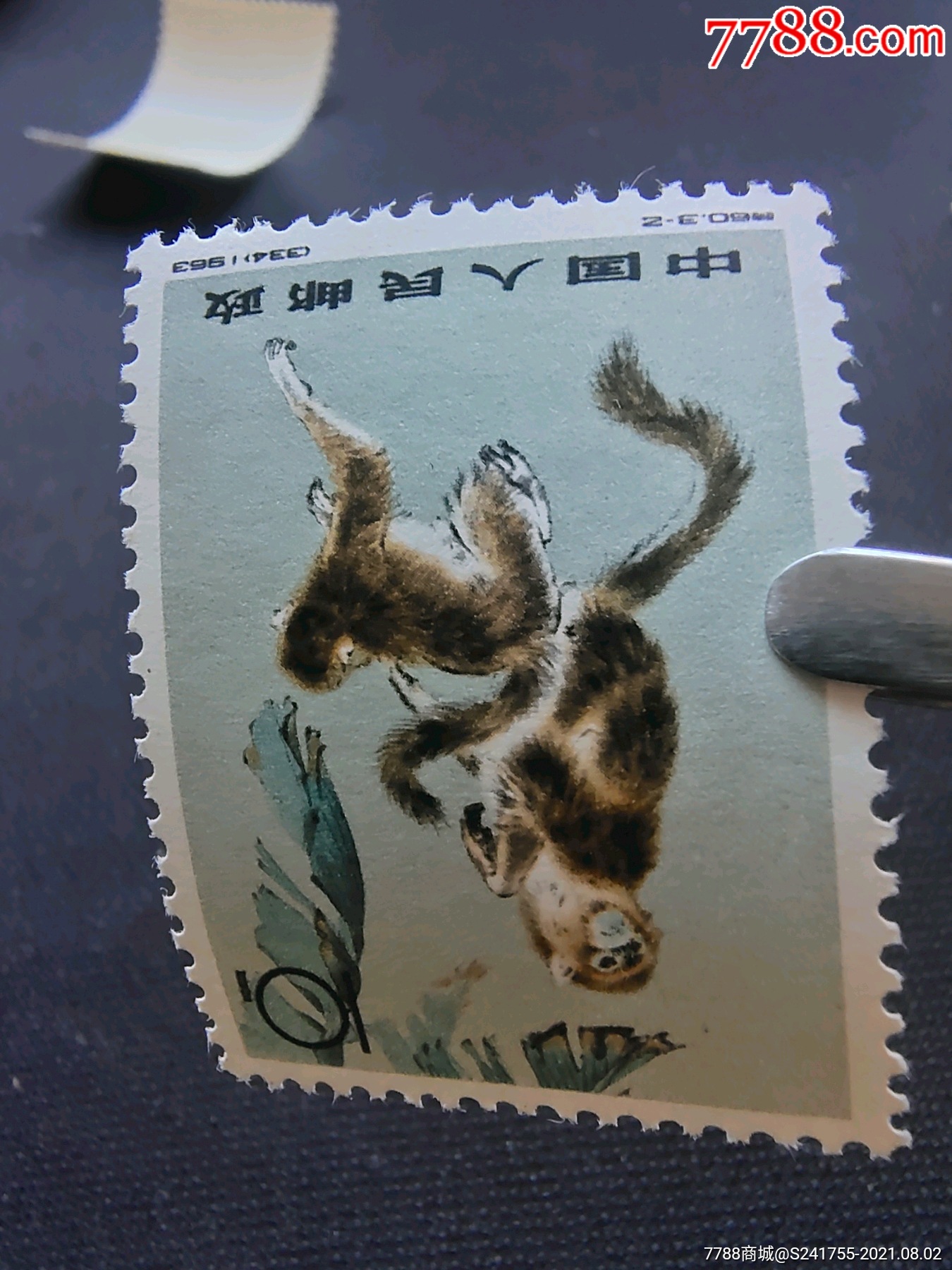 首页 拍卖 新中国邮票 >> 特60金丝猴(3-3)22分新一枚,新中国邮票