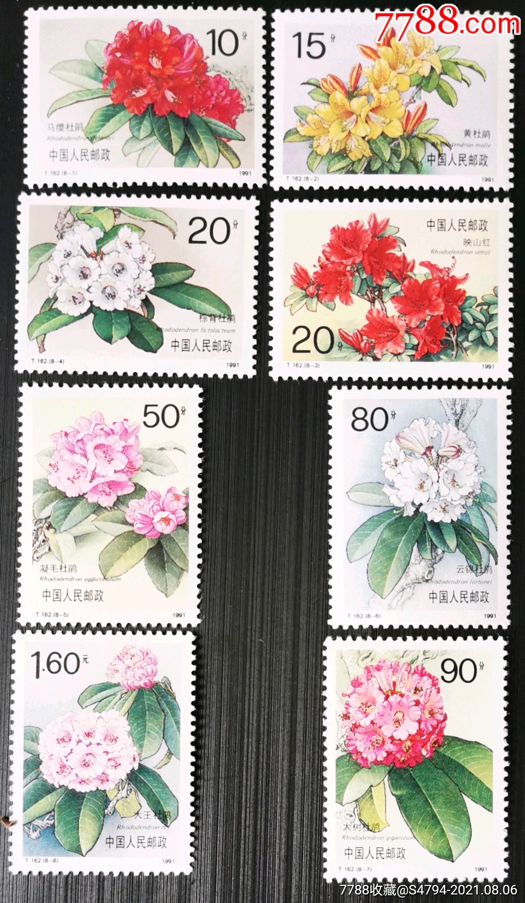 t162《君子兰》全新邮票