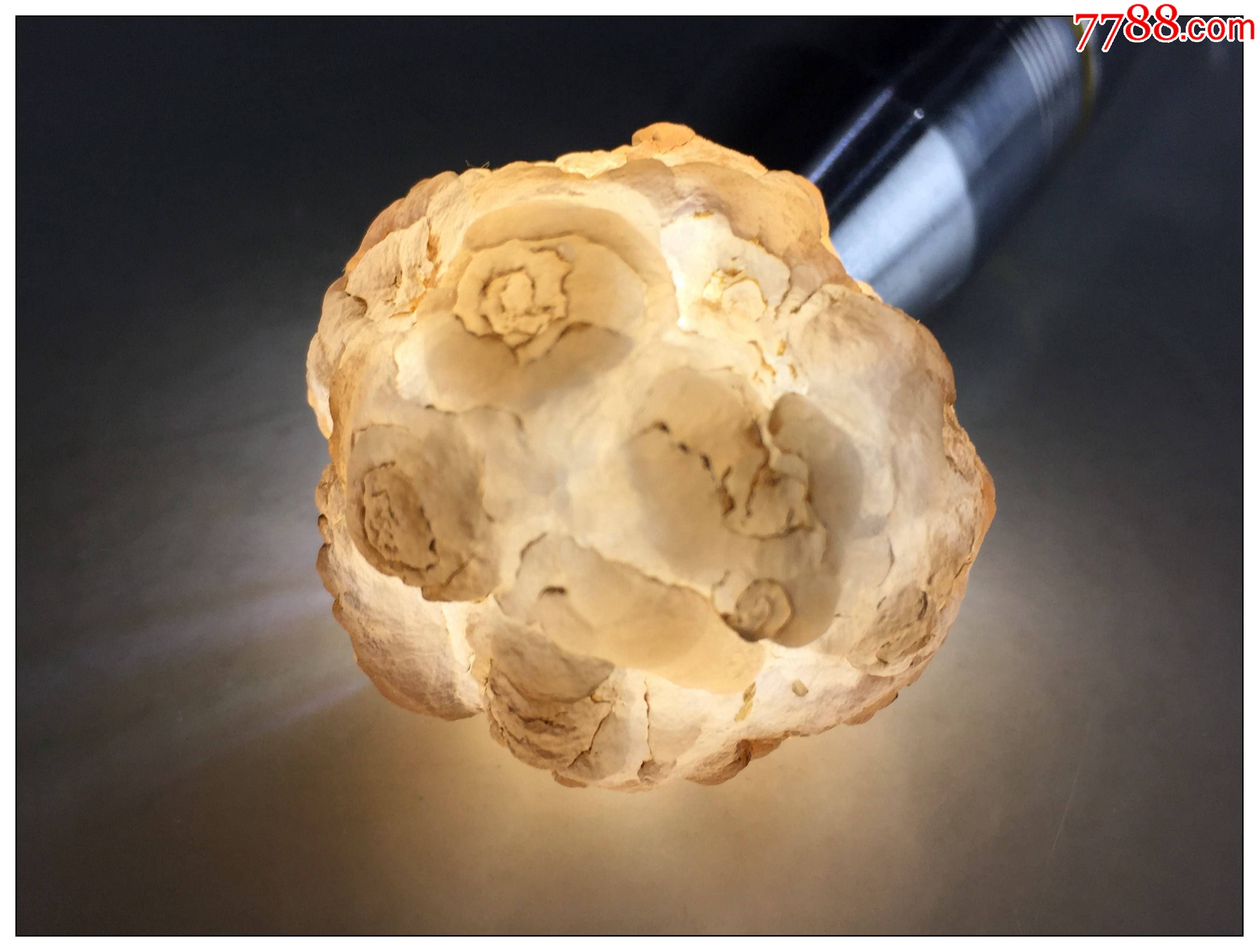 100848xin09熊猫玛瑙原生珠子精品原石奇石天然玉石毛料收藏级颜色