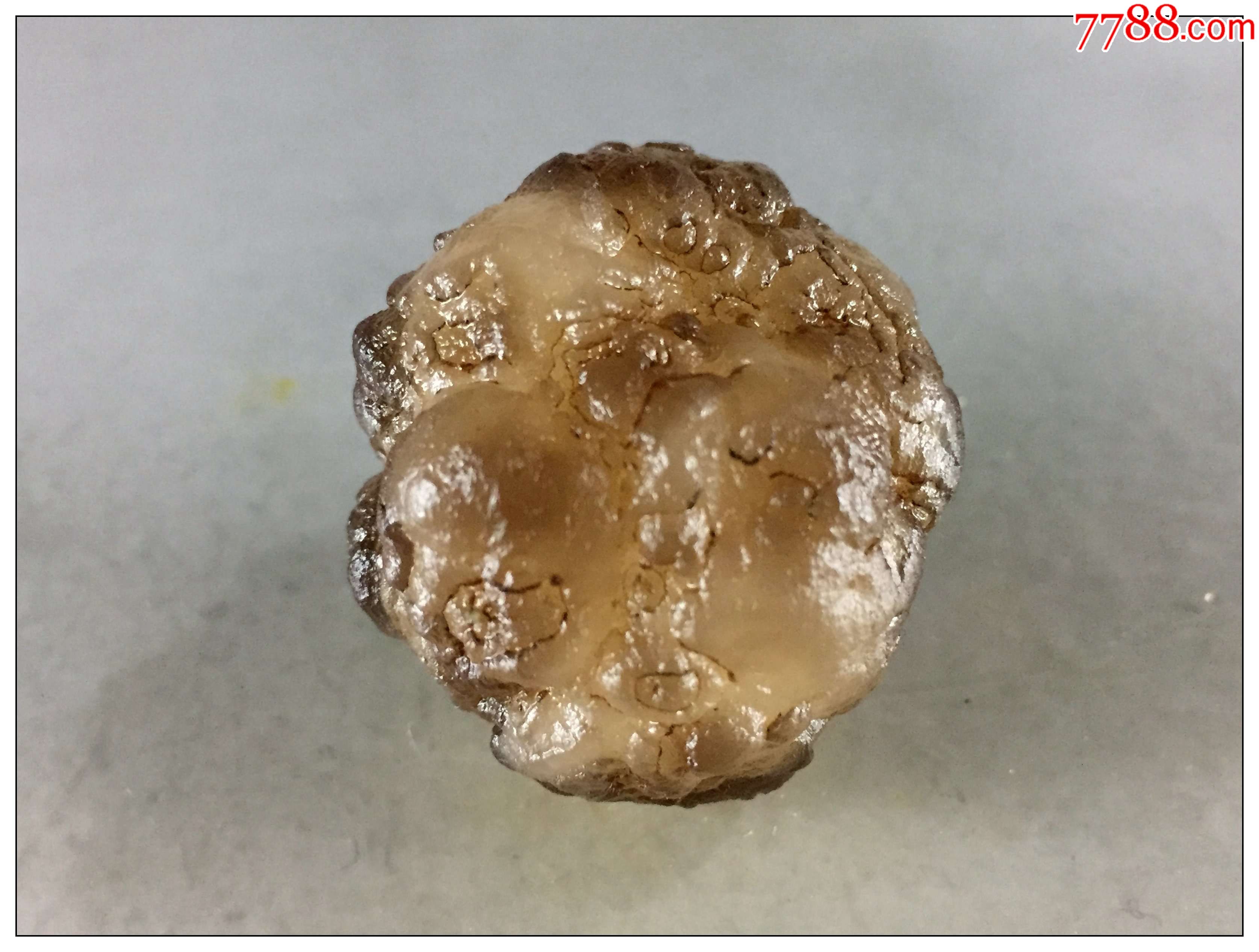 100848xin09熊猫玛瑙原生珠子精品原石奇石天然玉石毛料收藏级颜色