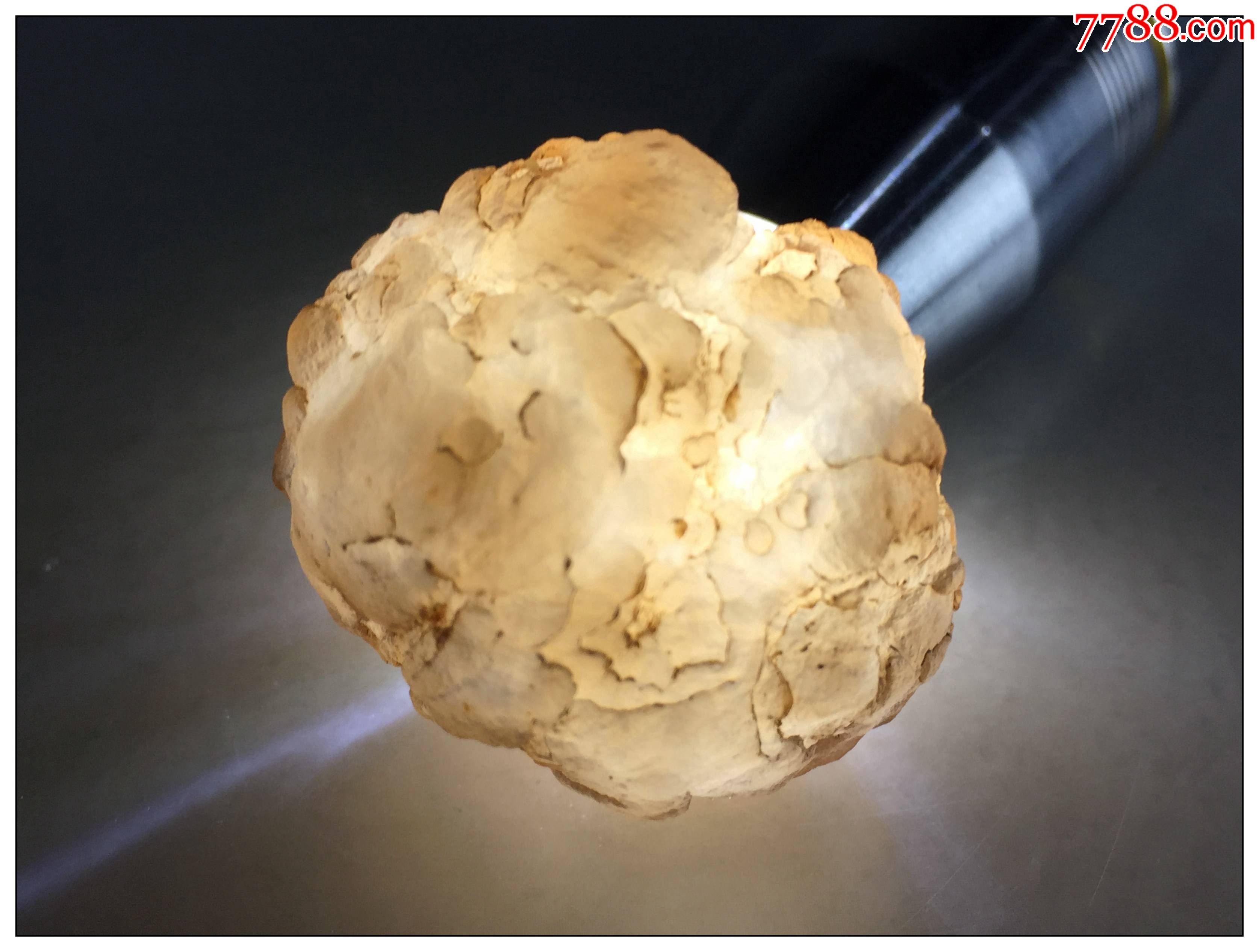 100848xin09熊猫玛瑙原生珠子精品原石奇石天然玉石毛料收藏级颜色