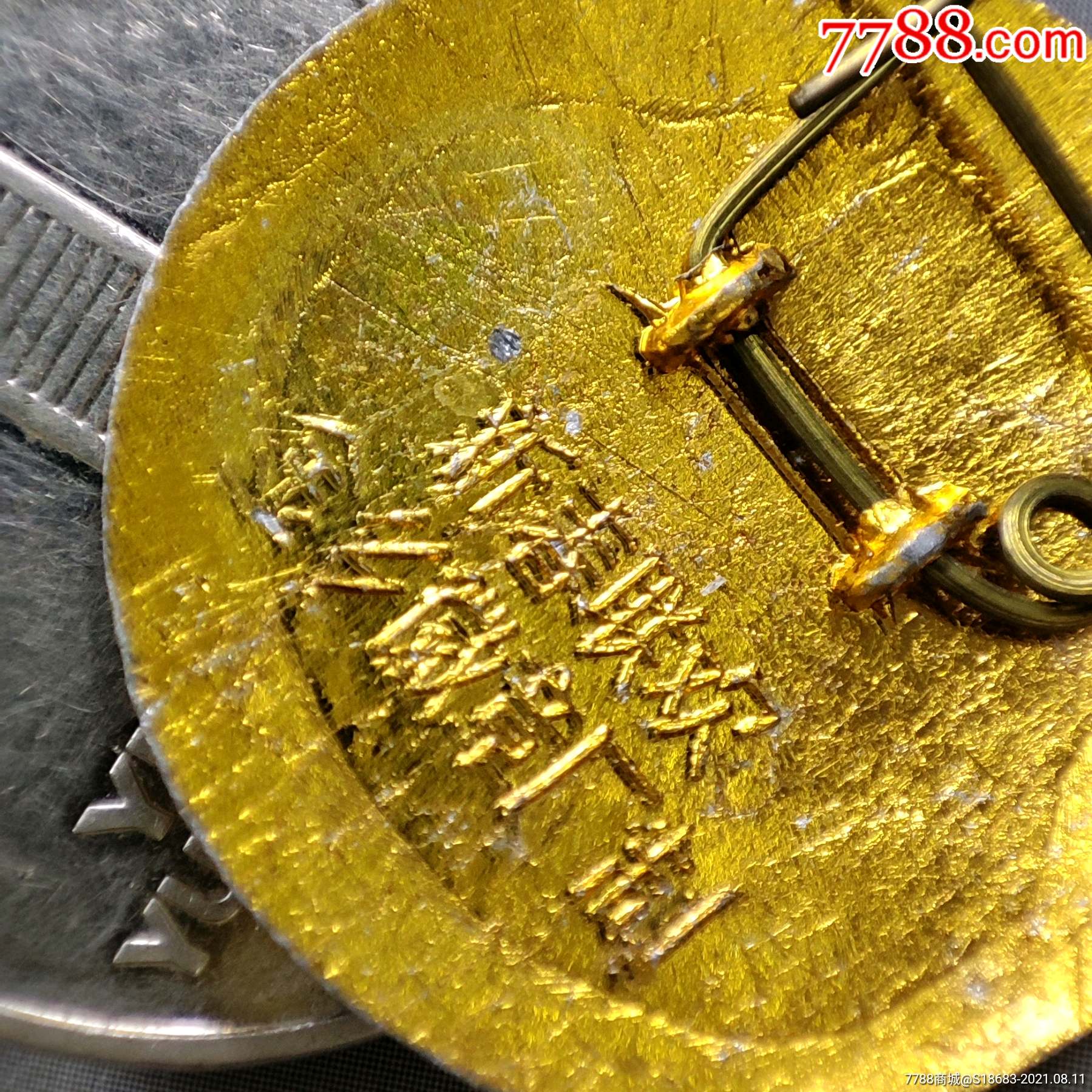 浙江苍南县金乡徽章厂(88年新春联欢)