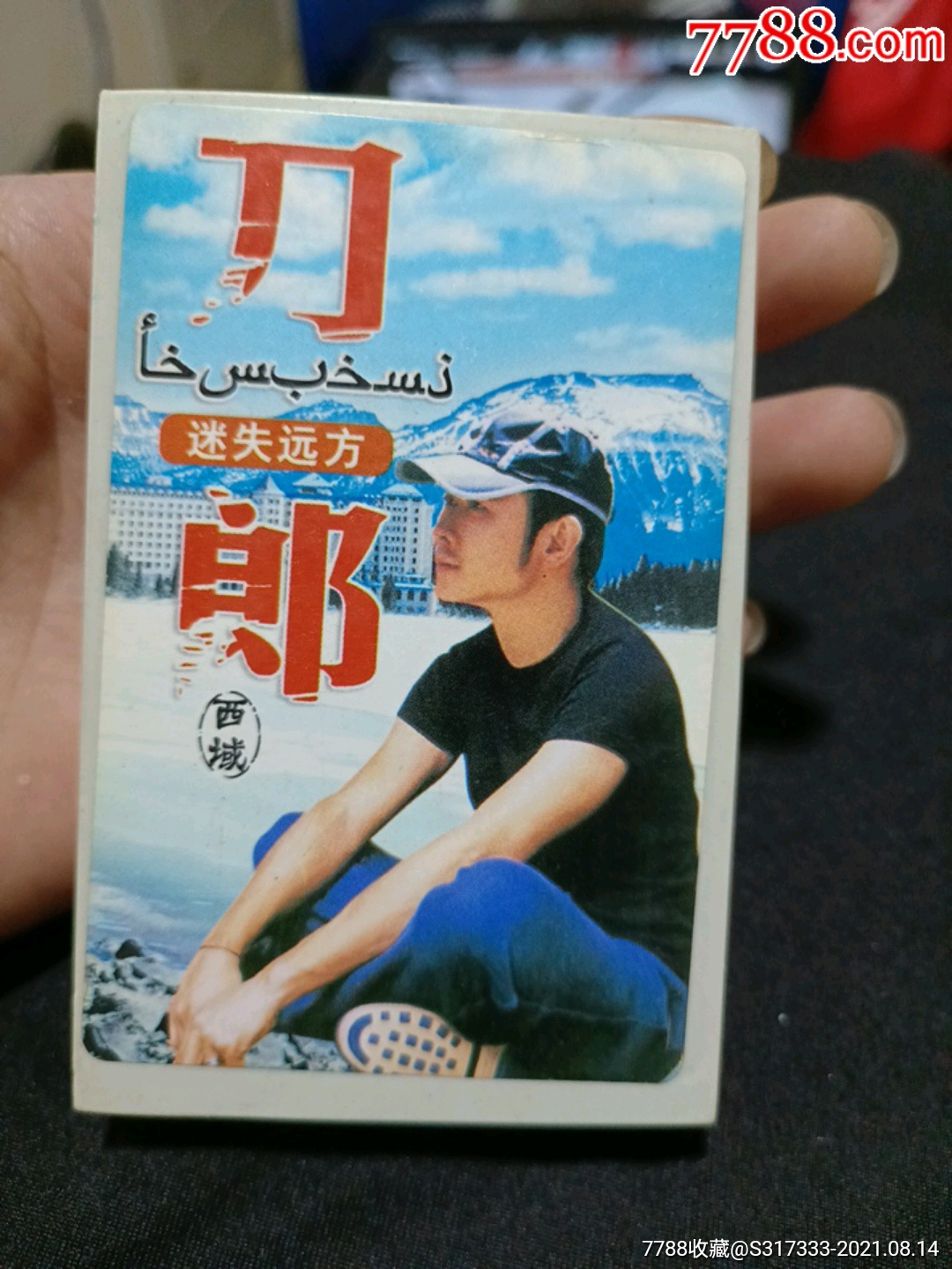 刀郎《迷失远方》