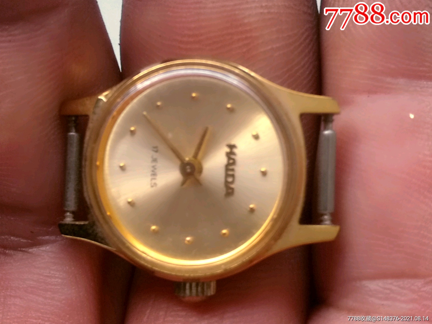 海达机械女表10块合拍