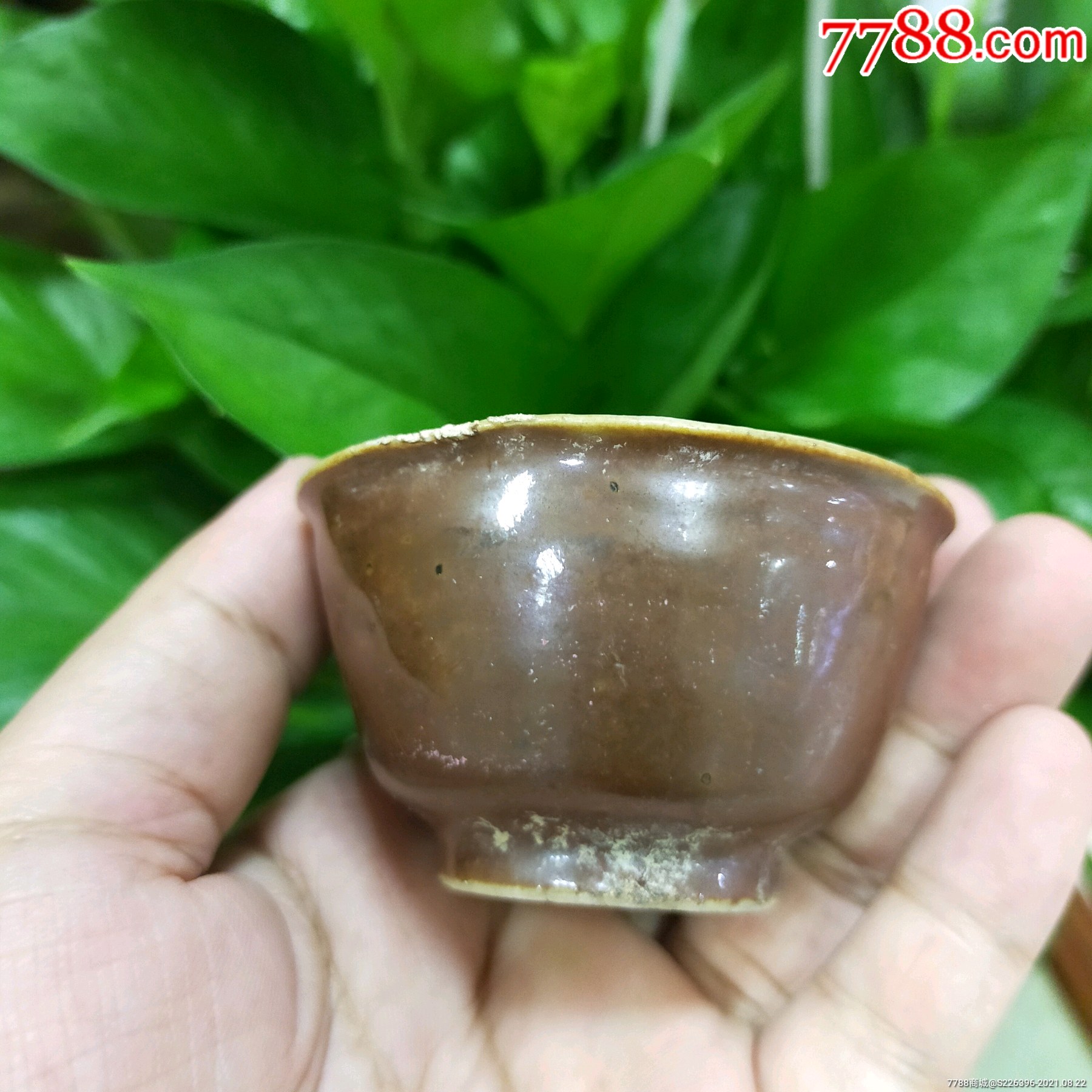 明代,紫金釉茶杯标本