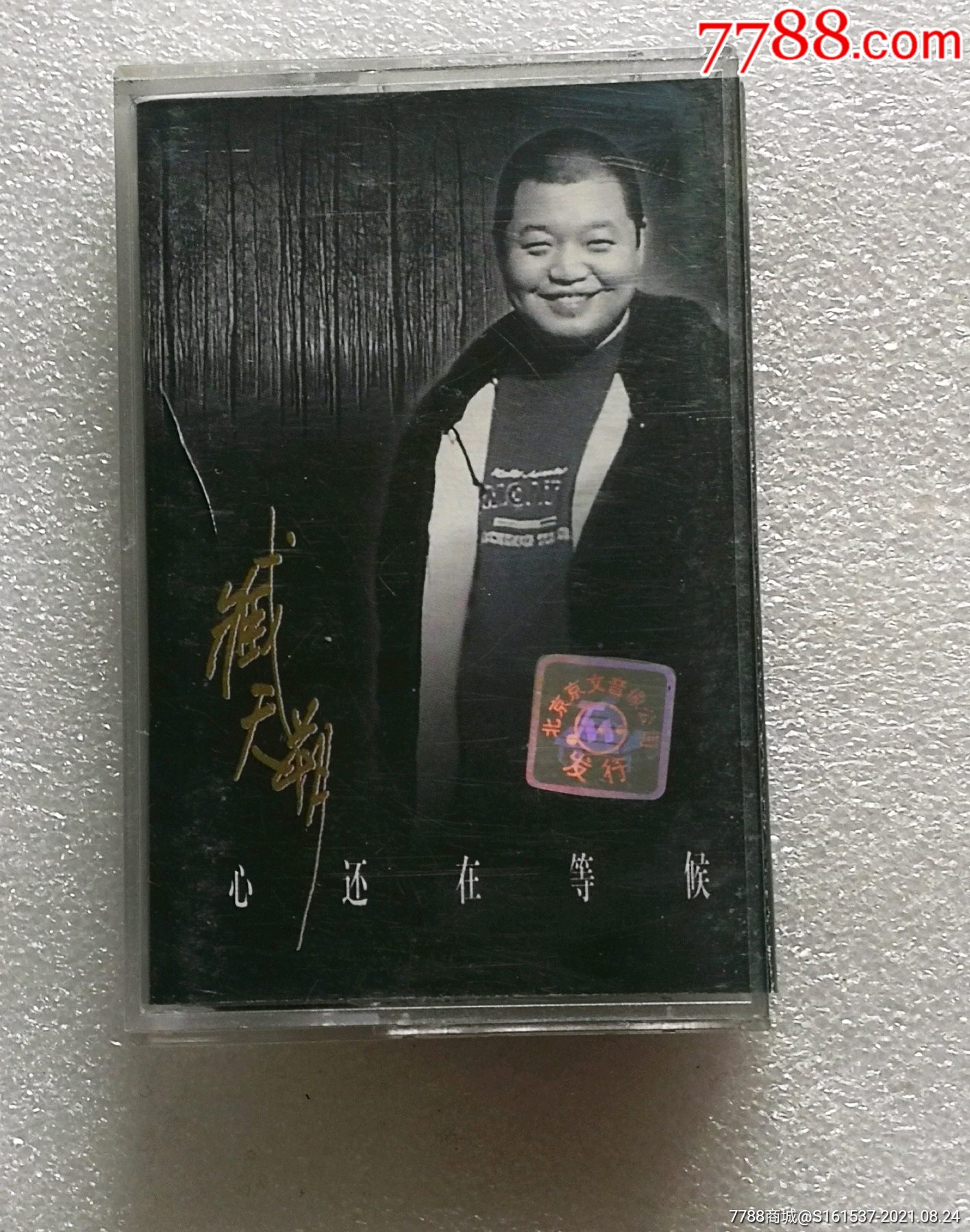 臧天朔-心还在等候