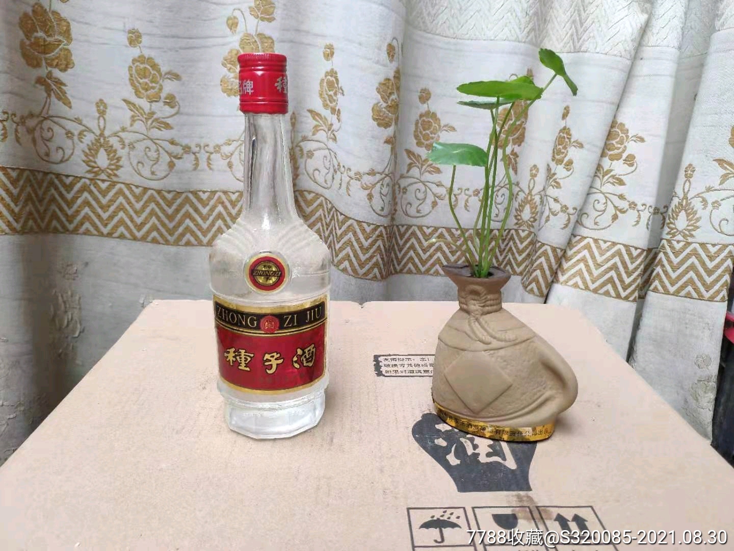 首页 拍卖 老酒收藏 >> 九十年代种子酒一瓶,老酒收藏