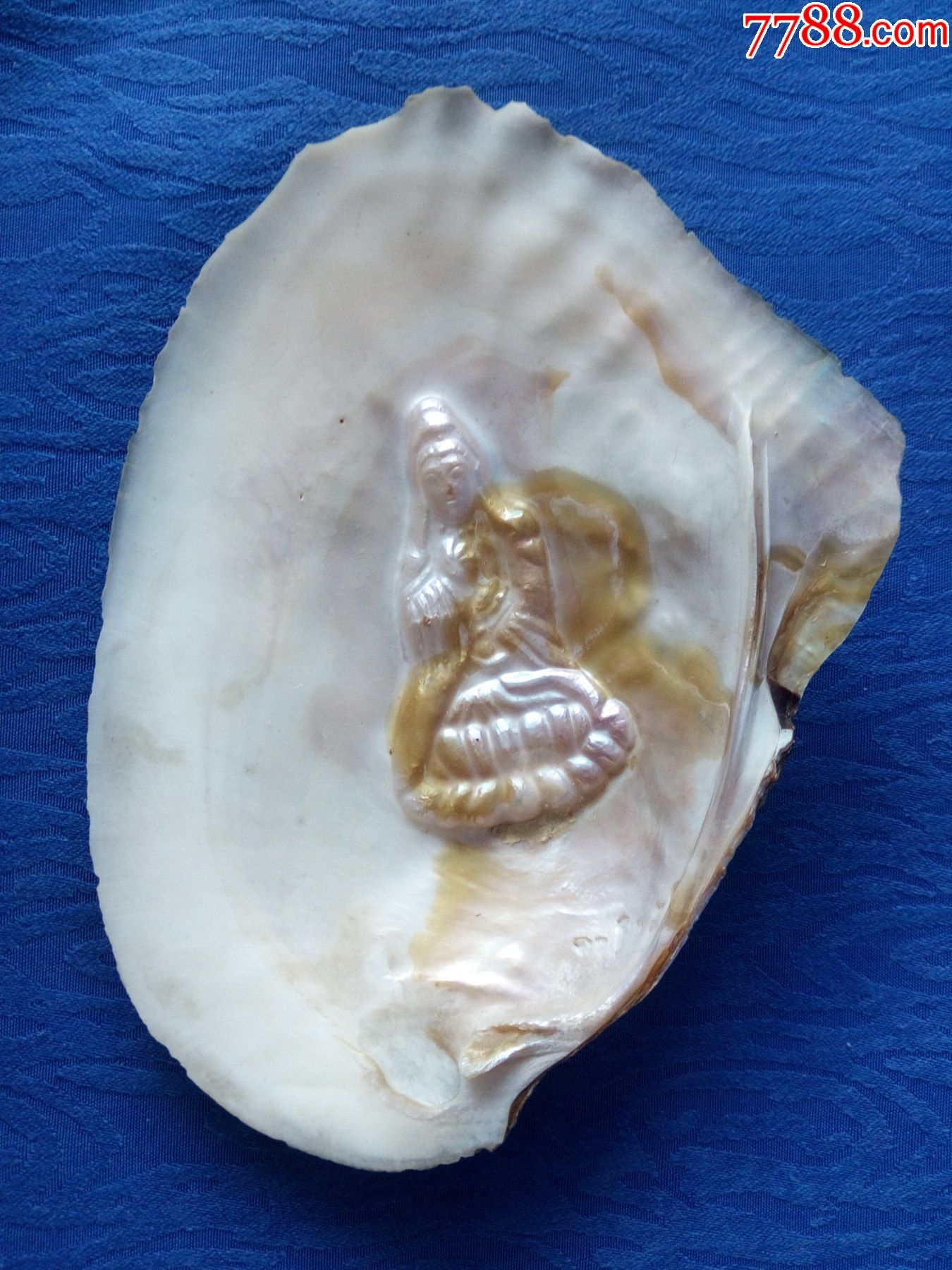 天然原生态贝壳佛教题材坐在莲花宝座上的观世音大士佛菩萨保您健康