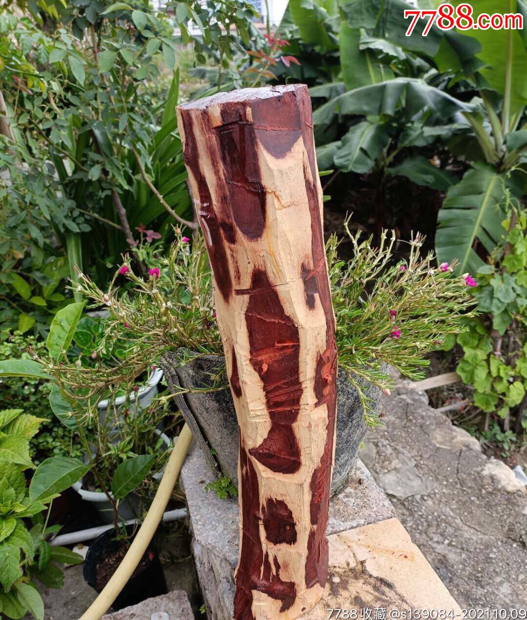 小叶紫檀大木头85斤多包真