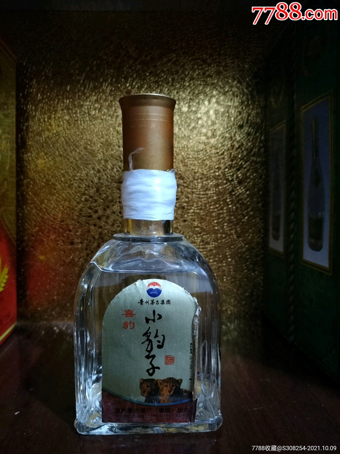 小豹子