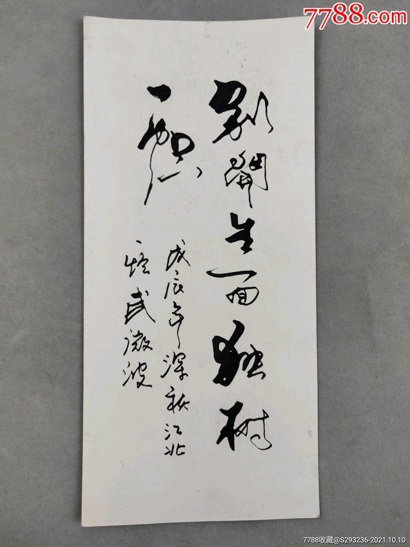 著名书法家,美术家武微波1988年书法作品一幅,独树一帜,sy70