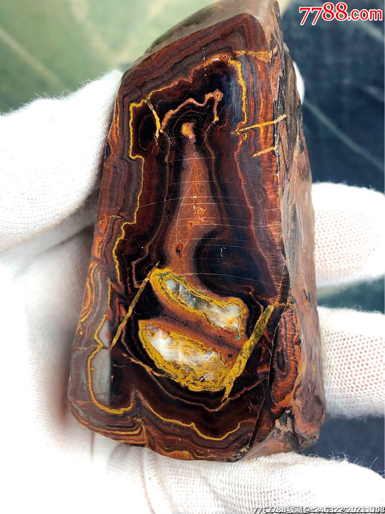 【观沧海】天然五彩画面象形陨石