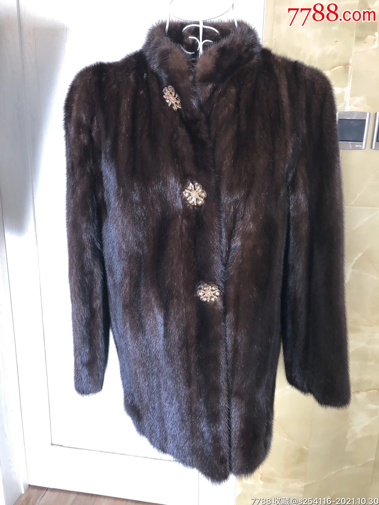 emba认证母貂整貂水貂长毛貂貂皮大衣靓丽厚密底绒厚肩宽38cm袖长55cm