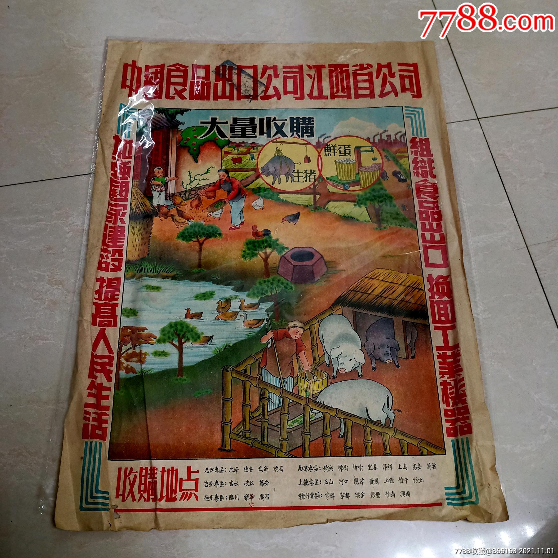 50年代中国食品出囗公司江西分公司大量收购生猪广告画