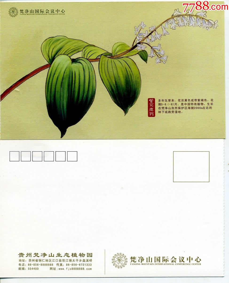 珍稀植物管花鹿药明信片