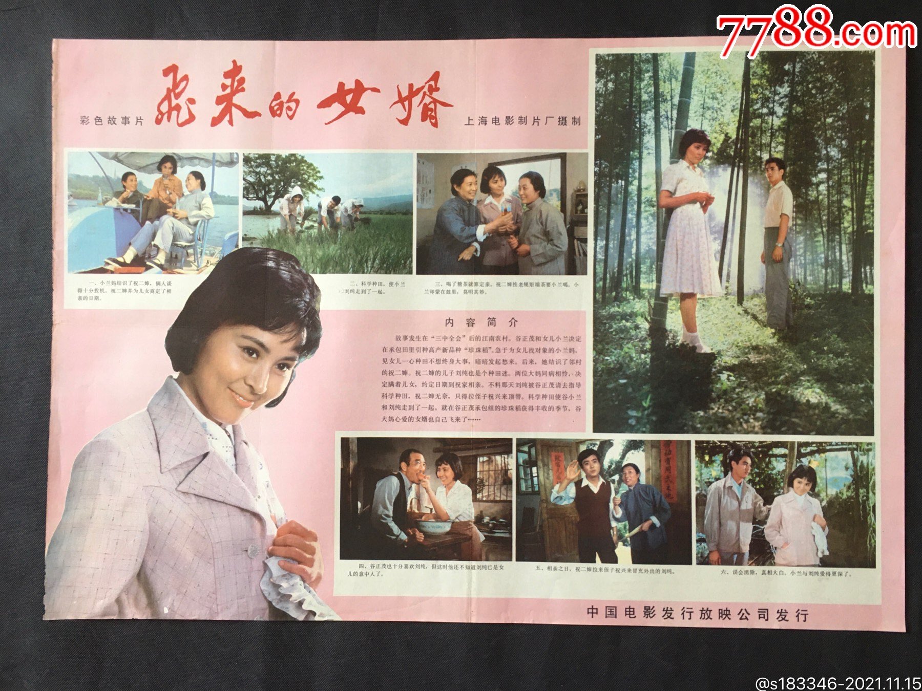 飞来的女婿
